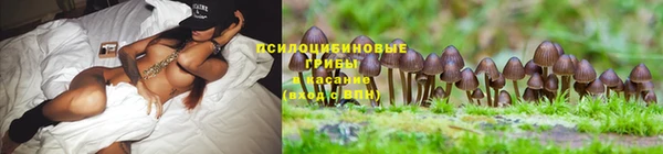 не бодяженный Балахна