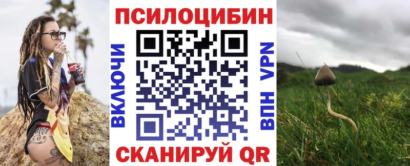 Галлюциногенные грибы Magic Shrooms  хочу   Белинский 